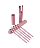 Teegxddy Professional 5pcs Makeup Brush Set - High Quality & International Shipping - Buy Online on GoSupps.com