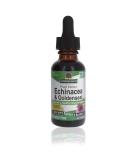 Nature's Answer Echinacea & Goldenseal Extract | Immune Support, Alcohol-Free, Vegan, Gluten-Free, Kosher - 1oz - Buy Online on GoSupps.com
