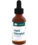 Genestra Brands Liquid Chlorophyll | 25mg per Drop | 1 fl. oz. Bottle - Buy Online on GoSupps.com