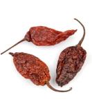 Old India Ghost Pepper Naga Whole 50g - Buy Online on GoSupps.com