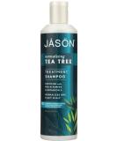 Buy Jason Naturals Tea Tree Oil Therapy Shampoo 517ml - Nourishing Hair Care for All Hair Types International Shipping Available - Buy Online on GoSupps.com