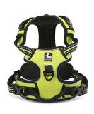 Buy Winhyepet TrueLove No-Pull Dog Harness - Reflective Adjustable with Dishes & Control Handle for Small to Large Dogs | TLH5651 XS Neon Yellow - International Shipping Available - Buy Online on GoSupps.com