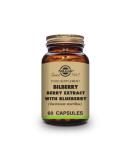 Solgar Bilberry Extract 60 Veg Capsules | Antioxidant Support & Eye Health - Buy Online on GoSupps.com