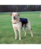 Trixie 28834 Black Backpack L-XL | 31x17 cm | International Shipping Available - Buy Online on GoSupps.com