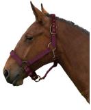 Gallop Adjustable Padded Headcollar Cob Size Burgundy - Buy Online on GoSupps.com