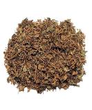 Gota Cola - 50g - Buy Online on GoSupps.com