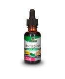 Astragalus Root Extract - Immune Support & Cardiovascular Health | Nature's Answer 1oz - Buy Online on GoSupps.com