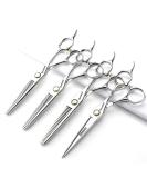 Japan 440C Hairdressing Scissors Set | 6 Professional Barber Tools | 4-Piece Fashion Styling Kit (6 Inch) - Buy Online on GoSupps.com