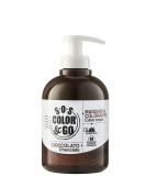 Alama professional S.O.S Color&Go reflektierende und belebende Farbmaske braun (Cioccolato) 300 ml - Buy Online on GoSupps.com