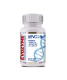 Buy Evozymes - 60 Caps | Premium Enzyme Supplement for Digestion & Wellness | Fast International Shipping - Buy Online on GoSupps.com