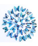 Bartosi Blue Butterfly Hair Clips - Pack of 20 Decorative Bobby Pins for Women and Girls - Buy Online on GoSupps.com