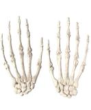 Shop Beaupretty Skull Bone Chip Straps Hair Clips | Halloween Skeleton Headgear Accessories - Buy Online on GoSupps.com