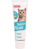 Buy Junior Paste Cat 100g - Premium Cat Nutrition for Healthy Growth | International Shipping Available - Buy Online on GoSupps.com