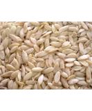 Melon Seeds - 50g - Buy Online on GoSupps.com