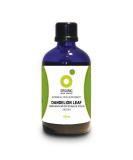 Organic Dandelion Leaf Tincture - 100ml Herbal Remedy - Buy Online on GoSupps.com