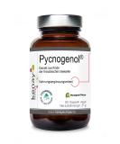 Buy Pycnogenol 100mg - French Sea Pine Bark Extract - Vegan Vegetable Capsules - 60 Count - Vege Kenay Europe - Buy Online on GoSupps.com