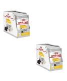 Royal Canin Dermacomfort Mousse for Dogs | Double Pack | 2 x 12 x 85g | Wet Food for Sensitive Skin | Omega-3 & Omega-6 Fatty Acids | 2.04kg - Buy Online on GoSupps.com