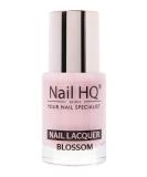 NAIL HQ Colour Blossom - 10ml Pink Blossom 10 ml (Pack of 1) - Buy Online on GoSupps.com