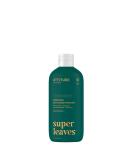 ATTITUDE Orange Leaves Bubble Bath - 16 Fl Oz, Plant-Based & Dermatologist-Tested - Buy Online on GoSupps.com