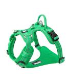 Truelove No Pull Dog Harness - Adjustable Reflective Soft Padded Vest for Dogs | TLH56512 XS Grass Green - International Shipping Available - Buy Online on GoSupps.com