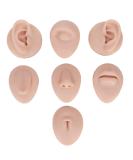 Body Piercing Practice Model - Silicone Ear, Nose, and Tongue Simulation for Beginners (Medium Skin Color) - Buy Online on GoSupps.com