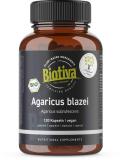 Agaricus Blazei Bio 120 capsules - EU cultivation in the Alps - Vital fungus high -dose - almond -regerling - Himematsuake - without additives - filled and checked in Germany - Biotiva - Buy Online on GoSupps.com