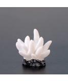 Movoja 2 PIECES Aquarium Decoration Corals - Ideal for Fresh & Salt Water Tanks - 14 White Coral Aquaristics - Buy Online on GoSupps.com
