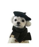 MuYaoPet French Artist Wool Beret Hat for Dog & Cat - Black, One Size - Buy Online on GoSupps.com