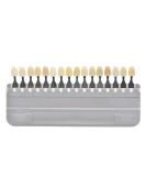 Porcelain Teeth Whitening Shade Guide 16 Colors Set - Tooth Bleaching Chart for Tracking and Comparing - Buy Online on GoSupps.com