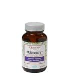 Quantum Health Elderberry Lozenges - Raspberry, Herb-Infused Throat Comfort & Immune Support, 36 Ct - Buy Online on GoSupps.com