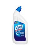 Buy Lysol 74278 Professional Disinfectant Toilet Bowl Cleaner 32 oz - Effective International Shipping Available - Buy Online on GoSupps.com