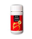 Qinao Power* Bottle 90 Dragees for 90 days |Brainfood *** for more energy* valuable plant extracts from Matcha Brahmi and Green Coffee Beans |Made in Germany developed by pharmacists - Buy Online on GoSupps.com