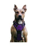 No Pull Adjustable Dog Bowls | Breathable Reflective Soft Padded Dog Dishes - Purple Medium - Buy Online on GoSupps.com