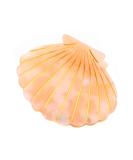 Women Acetate Shell Hair Clip - Fashion Half Updo Hairpin Accessory in Yellow | International Shipping - Buy Online on GoSupps.com