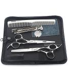 Professional 6/6.5 Inch Hair Scissors & Thinning Shears Set Ideal for Hairdressing | Buy Internationally - Buy Online on GoSupps.com