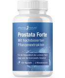 Prostate Forte - 120 Vegan Capsules | High-Dose Plant Extracts & Saw Palmetto | Vitamins & Minerals for Men - Buy Internationally - Buy Online on GoSupps.com