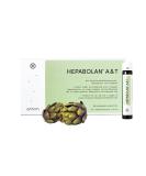 Hepabolan A&T - 30x25ml Drinking Bottles for Healthy Liver | Artichoke Choline Lysine Taurine & Arginine | German Quality & Laboratory Tested - Buy Online on GoSupps.com