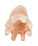 Resin Octopus Shape Massage Comb | Portable Scalp Acupoint Hairbrush for Hair Care - International Shipping Available - Buy Online on GoSupps.com