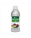 Buy 100% Pure Plum Kernel Oil (500 ML) - Natural Carrier Oil for Skin & Hair | Aromatherapy & Therapeutic Grade - Buy Online on GoSupps.com