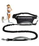 Retoteng Hands-Free Leash with Double Handles | Adjustable & Shock-Absorbing | Reflective Stitching | Ideal for Medium & Large Dogs - Buy Online on GoSupps.com