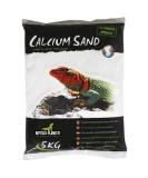 Reptiles Planet Calcium Terrarium Sand - Arctic White 5kg | Premium Cat Litter for Reptiles & Small Pets - Buy Online on GoSupps.com
