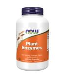 Now Foods Plant Enzyme Mix - 240 Vegan Capsules | Gluten-Free Soy-Free & Tasteless | Laboratory Tested for Quality - Buy Online on GoSupps.com