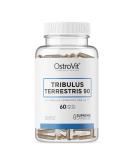 Ostrovit Tribulus Terrestris 90 Package of 1 x 60 Capsules - Testosteron Booster - 90% Saponine - Buy Online on GoSupps.com