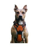 Adjustable No Pull Dog Harness | Breathable Reflective Soft Padded Dog Vest | Large Size | Perfect for Comfortable Walking - Buy Online on GoSupps.com