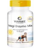 Enzyme Complex Capsules - Vegan Digestive Enzymes with Bromelain Papain Amylase Lipase & Protease - 90 Capsules | Warnke Vital Substances - German Quality - Buy Online on GoSupps.com