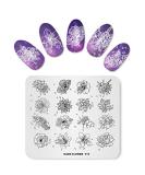 Alexnailart Nail Stamping Plate Multi-Pattern Print Image Stamper Scraper Tool FL019 - Buy Online on GoSupps.com