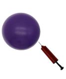 Purple 8-Inch Exercise Ball with Pump - Mini Yoga & Pilates Ball for Core Stability & Physical Therapy - Buy Online on GoSupps.com