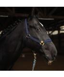 Adjustable Dark Blue Halter for Warmbloods Thoroughbreds & Cold Bloods - Safe Tear-Resistant Stable & Pasture Use | 2 Compartment Chin & Neck Straps - Buy Online on GoSupps.com