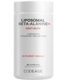 Codeage Liposomal Beta-Alanine Supplement - CarnoSyn - 180 Capsules for Pre & Post Workout - Non-GMO 2-Month Supply - Optimal Liposomal Delivery - Buy Online on GoSupps.com