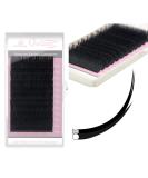 Matte Mink Flat Eyelash Extensions - 0.25mm Ellipse Individual Lashes for Professional Salons | Qeelasee - 8-15mm DD - Buy Online on GoSupps.com